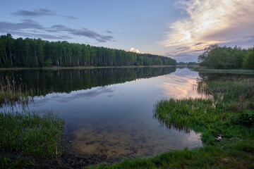 reflection of trees in water