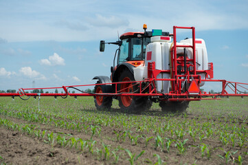 Fototapeta premium Tractor spraying pesticides at corn fields