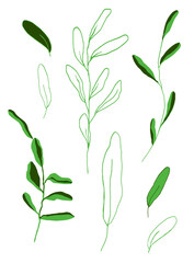 Isolated floral elements on a white background. Twigs and leaves of green shades. Simple shapes and curves. Vector illustration. Flat elements. Use for design, decoration, etc.
