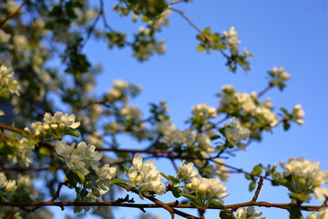 A bird perched on a tree branch