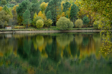 Fototapeta premium OTOÑO VALLE DEL TIETAR BOSQUES Y RIOS DE MONTAÑA