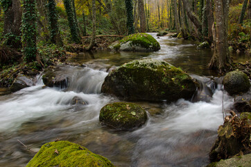 Obraz premium OTOÑO VALLE DEL TIETAR BOSQUES Y RIOS DE MONTAÑA