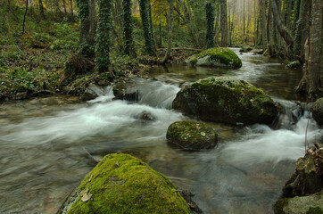 Obraz premium OTOÑO VALLE DEL TIETAR BOSQUES Y RIOS DE MONTAÑA