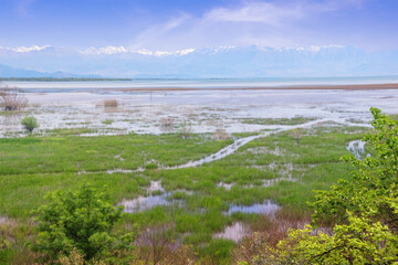 Beautiful wetland landscape on sunny spring day.  Montenegro. National Park Lake Skadar. View of coast of lake Skadar