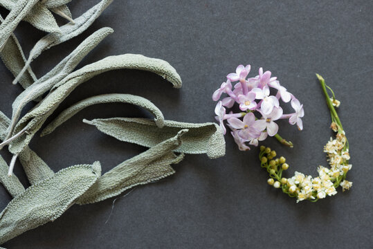 Lilac And White Flowers With Dried Sage Leaves On Grey Mat Board - Photographed From Above With Ambient Light