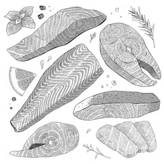 Salmon set, fish steak, atlantic fillet, sashimi slices and whole salmon on skin, detailed realistic illustration, balck and white ink art, vector cliparts isolated