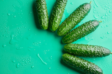 Set of fresh whole cucumbers on a green background, food pattern. Garden cucumber wallpaper backdrop design