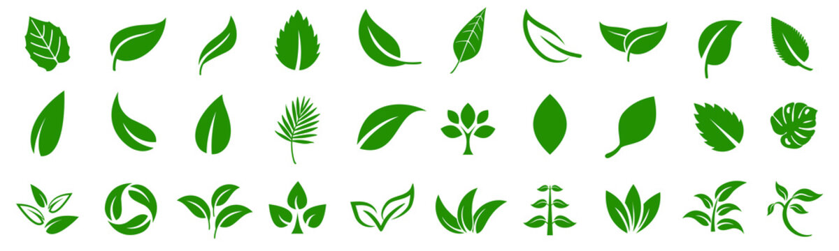 Leaf icons set ecology nature element, green leafs, environment and nature eco sign. Leaves on white background – vector