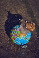 A snail on a small globe on the background of asphalt.