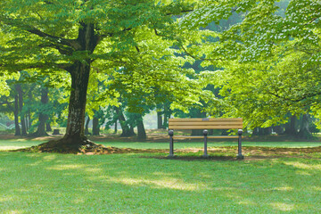 garden bench