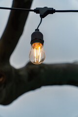 Vertical shot of a light bulb hanging on the black wire © Danyl Caenen/Wirestock