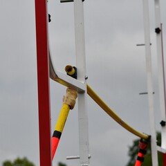 Pole Vault Standards