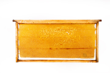 Bee frame with honeycombs on white background