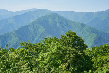東京都　月夜見第一駐車場からの景色
