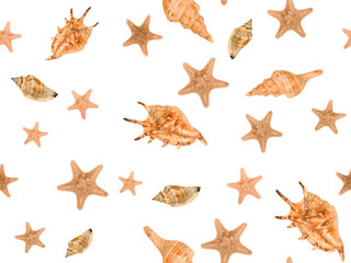 Fototapeta na wymiar Seamless pattern with seashells and starfish, isolated on the white background. Top view, summer or beach vacation concept.
