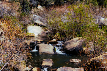 stream in the forest