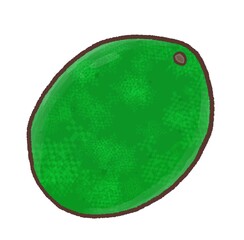 R：もっとメルヘンな野菜　アボガド間違えた☆アボカド①