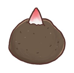 R：もっとメルヘンな野菜　こんにゃくいも①