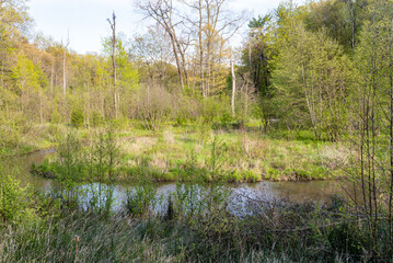 Beachfront along Lake Michigan in Indiana Dunes State Park