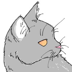illustration of a cat