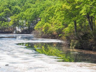 新緑と雪解けの茶屋池