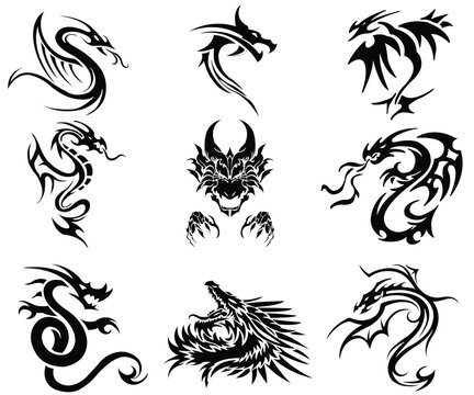 Vector Dragons silhouette on white background 