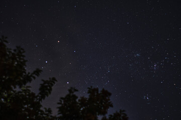 starry night sky