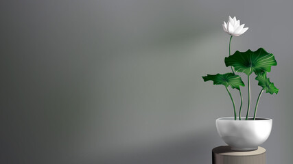 Lotus vase decoration in the room isolated.  Silver pot with lotus plants.  Indoor zen plant.