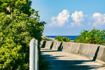 ハワイのヤシと風景 Palm Trees Under The Blue Sky In Hawaii America Wall Mural Ameri Akio Mic
