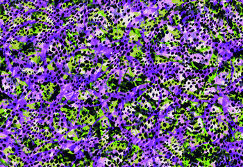 unique animal skin pattern