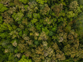 Naklejka premium Beautiful aerial view of the tropical rain forest in Costa Rica