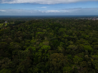 Fototapeta premium Beautiful aerial view of the tropical rain forest in Costa Rica