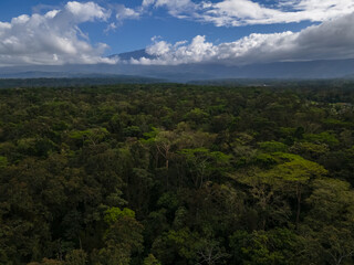Fototapeta na wymiar Beautiful aerial view of the tropical rain forest in Costa Rica