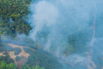 A smoke coming from a fire in the forest