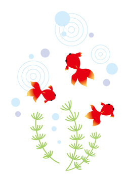 9 032 Best 水草 Images Stock Photos Vectors Adobe Stock