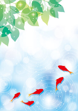 背景 水面 波紋 植物 模様 Images Browse 175 Stock Photos Vectors And Video Adobe Stock