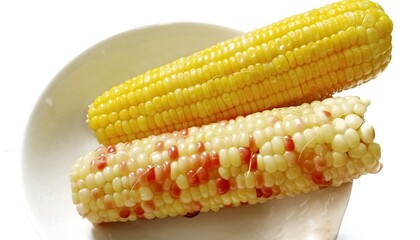 corn on the cob