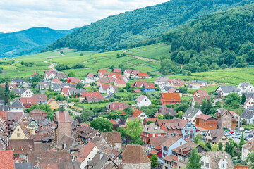 Obraz premium Alsace village, vineyard, Riquewhir, France, Europe, Automn