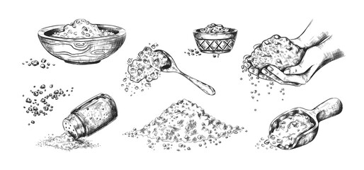Sea salt sketch. Hand drawn seasoning in wooden bowls or glass saltcellar. Scoop and spoon full of crystals. Black and white salty spices. Vector cooking ingredient for food conservation