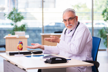 Old male doctor cardiologist working in the clinic