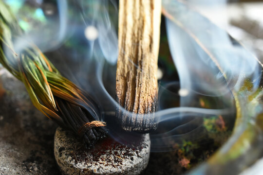 A top view image of smoldering incense sticks in an abalone shell. 