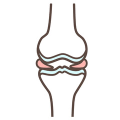 正常な膝関節の簡易イラスト