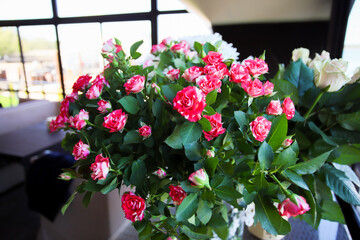 Small pink shrub roses in the vase opposite the window. 