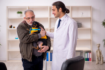 Young male doctor vet examining dog in the clinic