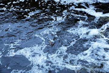 Design. Water texture. Blue-green surface with white foam