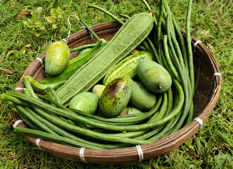basket of cucumbers