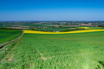 Obraz premium Ackerbau