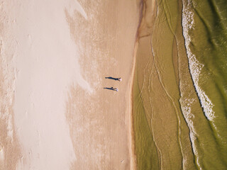 Two people walking on the beach from above. Two person shadow with silhouette, sand and Baltic sea waves. 