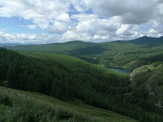 Obraz premium forest in the mountains