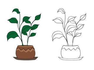 Graphics of indoor plants in pots. The color is green and brown. The illustration is made in color and black and white.

